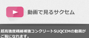 動画で見るサクセム